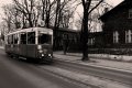 miniaturka zdjecia